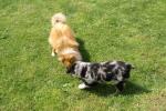 merly und sky 22